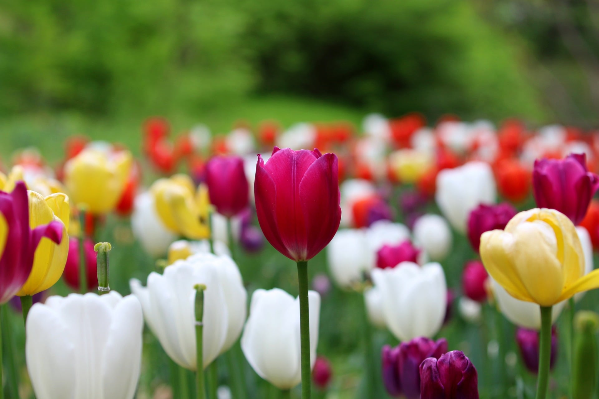 Instagram creative post 5